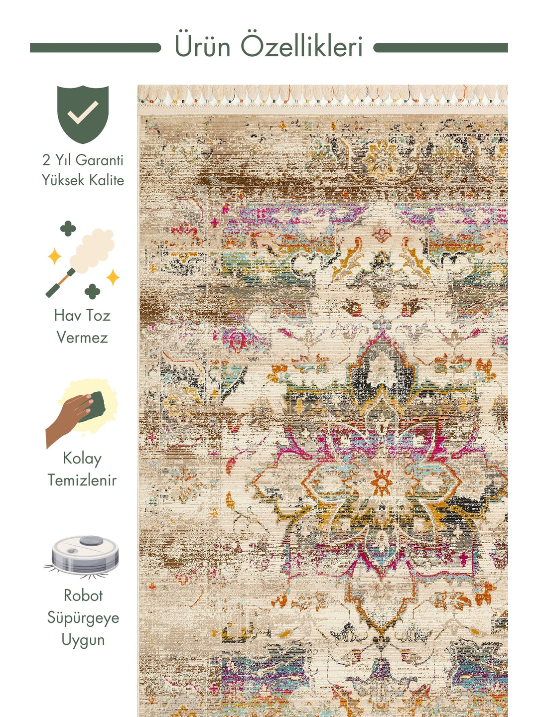 Nil Series Ethnic and Modern Patterned Colorful Fringed Living Room Kitchen Carpet 06 MULTY