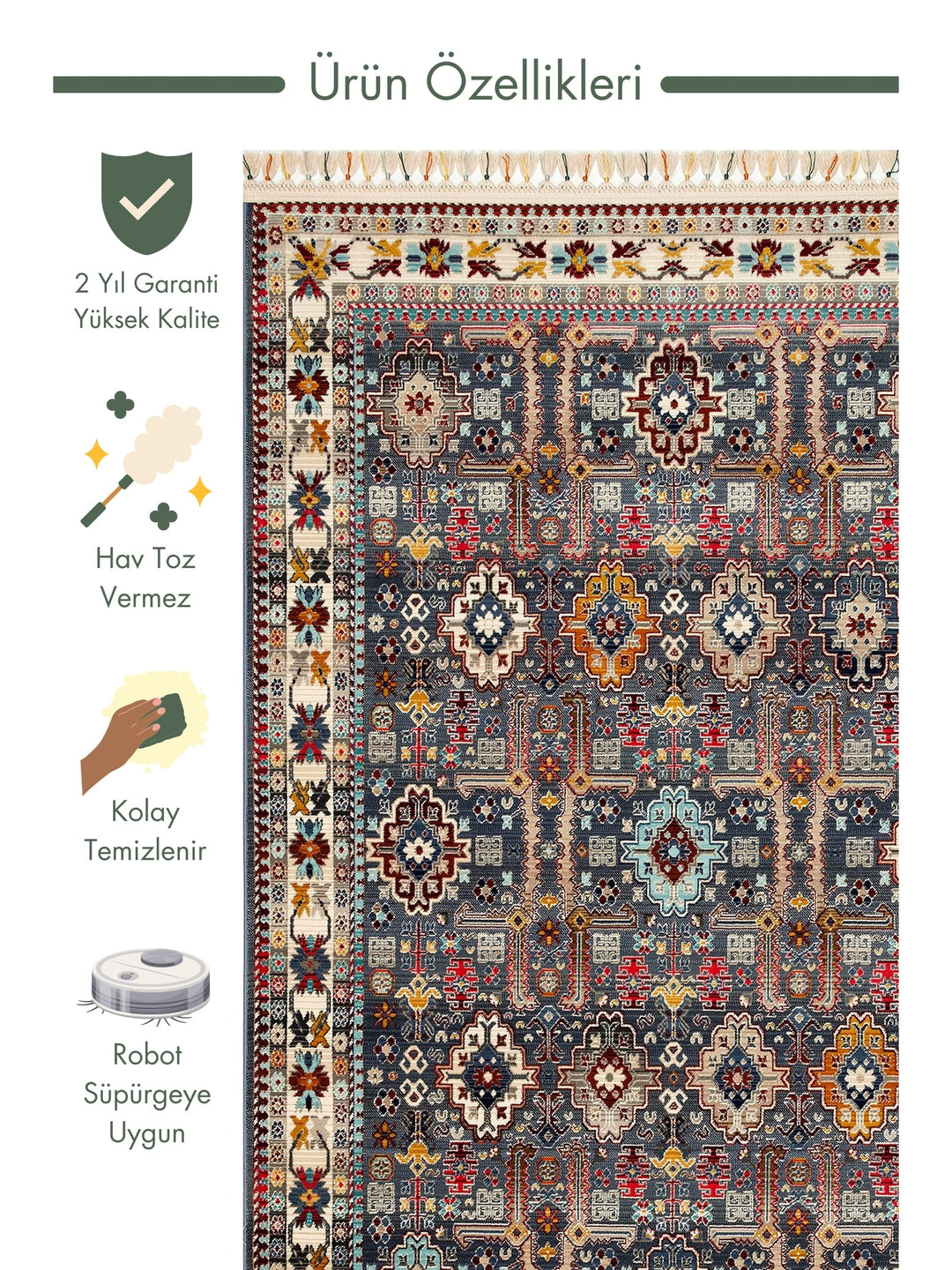 Nil Series Ethnic and Modern Patterned Colorful Fringed Living Room Kitchen Carpet 07 MULTY